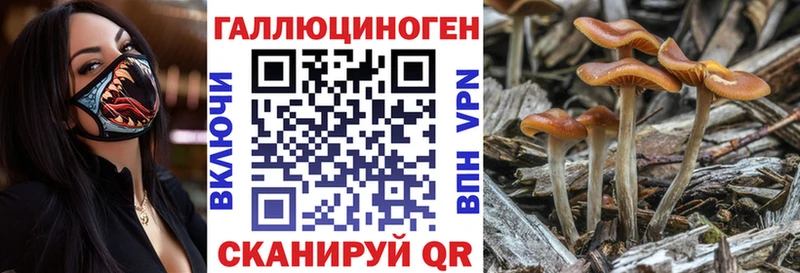 Галлюциногенные грибы мухоморы  сколько стоит  Почеп 